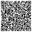 QR code with Pro Technics contacts