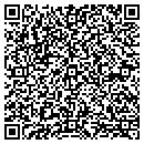 QR code with Pygmalion Services LLC contacts