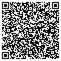 QR code with Madson contacts