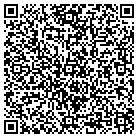 QR code with Baumgartner Automotive contacts
