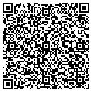 QR code with Pro-Security Systems contacts