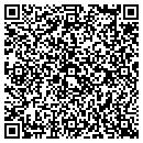 QR code with Protect America Inc contacts