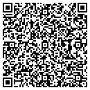 QR code with Purple Stork contacts