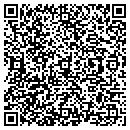QR code with Cynergy Data contacts