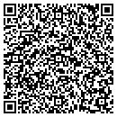 QR code with Purist Usa LLC contacts