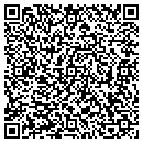 QR code with Proactive Automotive contacts