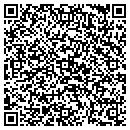 QR code with Precision Auto contacts