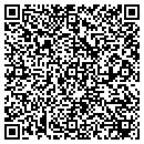 QR code with Crider Consulting Inc contacts