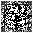 QR code with Premier Audio Visual contacts