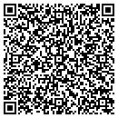 QR code with Pruitt Farms contacts