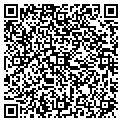 QR code with D Day contacts