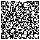 QR code with Pro-Link Automotive contacts