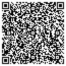 QR code with Pulaski Highway Motors contacts
