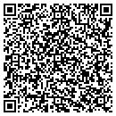 QR code with Consumer Electric Inc contacts