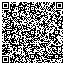 QR code with Pyramid Masonry contacts