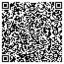 QR code with Psn Security contacts