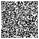 QR code with Precision Masonry contacts