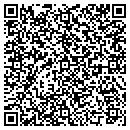 QR code with Preschool of the Arts contacts