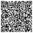 QR code with Professional Drafting contacts