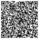 QR code with Public Works Mechanic contacts