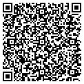 QR code with New Dos contacts