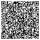 QR code with Braun Michael S contacts