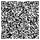 QR code with Bahlburg Exploration contacts