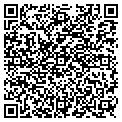 QR code with Arcade contacts