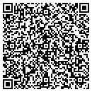 QR code with Carl's Auto Tech Iii contacts