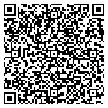 QR code with Amscot contacts