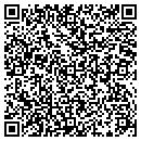 QR code with Princeton Car Service contacts