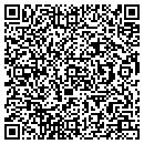 QR code with Pte Golf LLC contacts