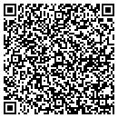 QR code with Professional Web Image contacts