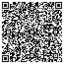 QR code with Precision Works Inc contacts