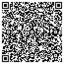 QR code with Precision Mill LLC contacts