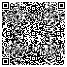 QR code with China Art & Jewelry Inc contacts