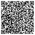 QR code with Picasso Corp contacts