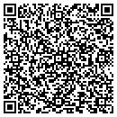 QR code with Professional Dimalo contacts