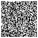 QR code with Blue Sky Cab contacts