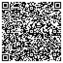 QR code with Professional Tech contacts