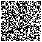 QR code with Puffin Learning Academy contacts