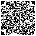 QR code with Newtec contacts