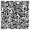 QR code with Allied contacts