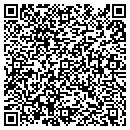 QR code with Primitives contacts