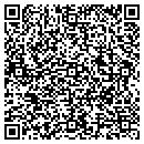 QR code with Carey Financial Inc contacts