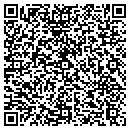 QR code with Practice Solutions Inc contacts