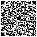 QR code with Princeton Auto contacts