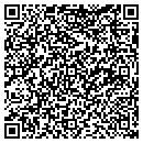 QR code with Protek Auto contacts