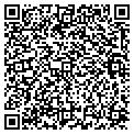 QR code with V Gem contacts