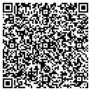 QR code with City Cab of Sherman contacts